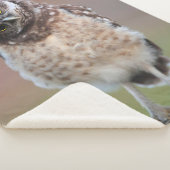 最も可愛い赤ん坊の動物 | Burroing Owlet シェルパブランケット (3/4)