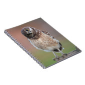 最も可愛い赤ん坊の動物 | Burroing Owlet ノートブック (右側)