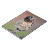 最も可愛い赤ん坊の動物 | Burroing Owlet ノートブック (左側)