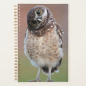 最も可愛い赤ん坊の動物 | Burroing Owlet プランナー手帳 (正面)