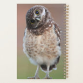 最も可愛い赤ん坊の動物 | Burroing Owlet プランナー手帳 (裏面)