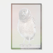 最も可愛い赤ん坊の動物 | Burroing Owlet ポストイット (正面)