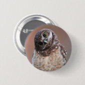 最も可愛い赤ん坊の動物 | Burroing Owlet 缶バッジ (正面&裏面)