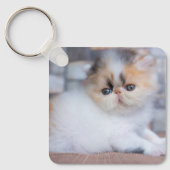 最も可愛い赤ん坊の動物 | Calicoペルシャ猫 キーホルダー (正面)