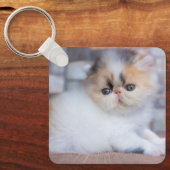 最も可愛い赤ん坊の動物 | Calicoペルシャ猫 キーホルダー (正面)