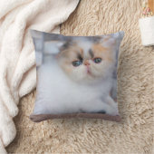 最も可愛い赤ん坊の動物 | Calicoペルシャ猫 クッション (ブランケット)