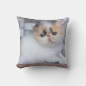 最も可愛い赤ん坊の動物 | Calicoペルシャ猫 クッション (正面)