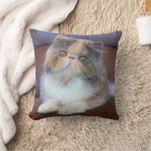 最も可愛い赤ん坊の動物 | Calicoペルシャ猫 クッション (ブランケット)