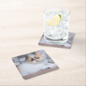 最も可愛い赤ん坊の動物 | Calicoペルシャ猫 スクエアペーパーコースター (インサイチュ)