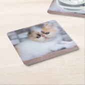 最も可愛い赤ん坊の動物 | Calicoペルシャ猫 スクエアペーパーコースター (アングル)