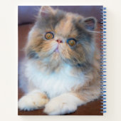最も可愛い赤ん坊の動物 | Calicoペルシャ猫 ノートブック (裏面)