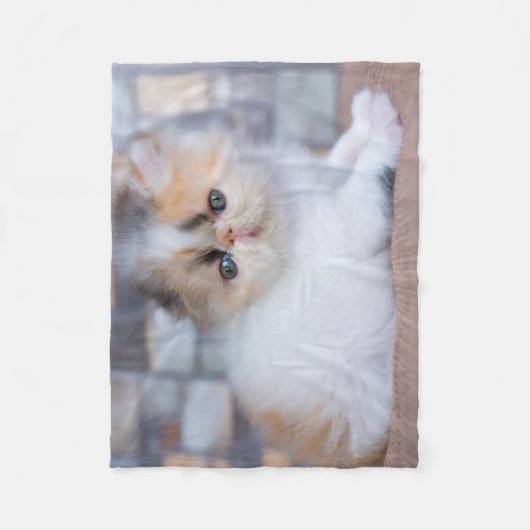 最も可愛い赤ん坊の動物 | Calicoペルシャ猫 フリースブランケット (正面)