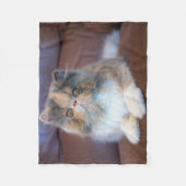 最も可愛い赤ん坊の動物 | Calicoペルシャ猫 フリースブランケット (正面)