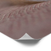 最も可愛い赤ん坊の動物 | Calicoペルシャ猫 ポスター (角)