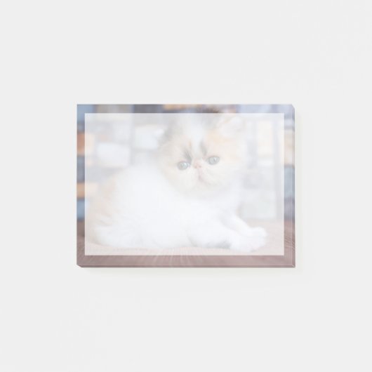 最も可愛い赤ん坊の動物 | Calicoペルシャ猫 ポストイット (正面)