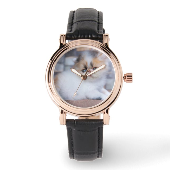 最も可愛い赤ん坊の動物 | Calicoペルシャ猫 腕時計 (正面)