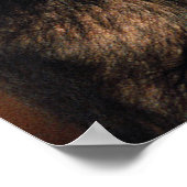 最も可愛い赤ん坊の動物 | Chimpanzee Hug ポスター (角)