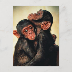 最も可愛い赤ん坊の動物 Chimpanzee Hug ポストカード