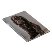 最も可愛い赤ん坊の動物 | Cockapoo Puppy ノートブック (右側)