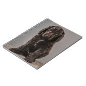 最も可愛い赤ん坊の動物 | Cockapoo Puppy ノートブック (左側)