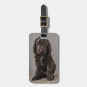 最も可愛い赤ん坊の動物 | Cockapoo Puppy ラゲッジタグ (正面縦)