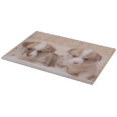 最も可愛い赤ん坊の動物 | Corgiの子犬たち2匹 カッティングボード (角)
