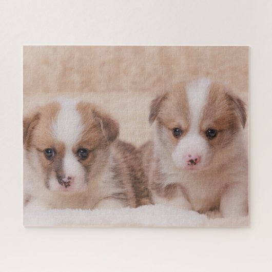 最も可愛い赤ん坊の動物 | Corgiの子犬たち2匹 ジグソーパズル (横)