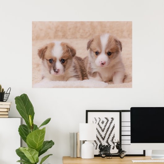 最も可愛い赤ん坊の動物 | Corgiの子犬たち2匹 ポスター (ホームオフィス)