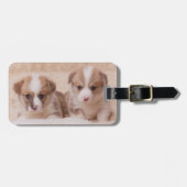 最も可愛い赤ん坊の動物 | Corgiの子犬たち2匹 ラゲッジタグ (正面横)