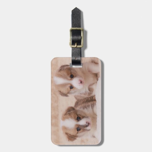 最も可愛い赤ん坊の動物 | Corgiの子犬たち2匹 ラゲッジタグ (正面縦)
