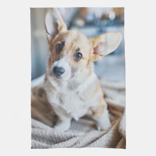 最も可愛い赤ん坊の動物 | Corgiヘッドの傾き キッチンタオル (縦)
