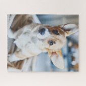 最も可愛い赤ん坊の動物 | Corgiヘッドの傾き ジグソーパズル (横)