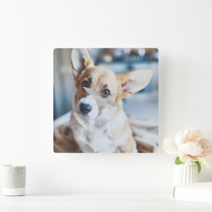 最も可愛い赤ん坊の動物 Corgiヘッドの傾き スクエア壁時計