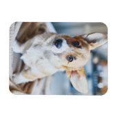 最も可愛い赤ん坊の動物 | Corgiヘッドの傾き マグネット (横)