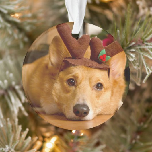 最も可愛い赤ん坊の動物 | Corgi Christmas Reindeer オーナメント (ツリー)