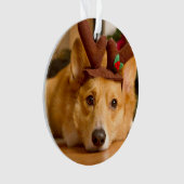 最も可愛い赤ん坊の動物 | Corgi Christmas Reindeer オーナメント (正面)