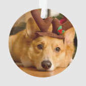最も可愛い赤ん坊の動物 | Corgi Christmas Reindeer オーナメント (裏面)