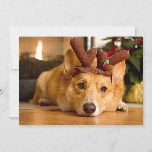 最も可愛い赤ん坊の動物 | Corgi Christmas Reindeer サンキューカード (正面)
