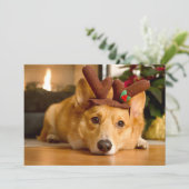 最も可愛い赤ん坊の動物 | Corgi Christmas Reindeer サンキューカード (スタンド正面)