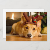 最も可愛い赤ん坊の動物 | Corgi Christmas Reindeer サンキューカード (正面/裏面)