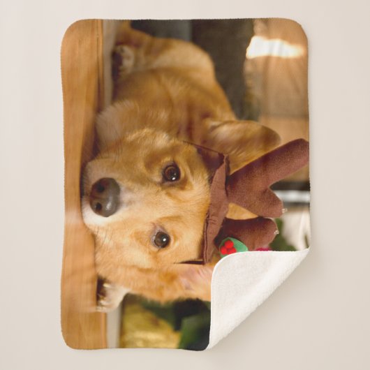 最も可愛い赤ん坊の動物 | Corgi Christmas Reindeer シェルパブランケット (正面)