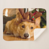 最も可愛い赤ん坊の動物 | Corgi Christmas Reindeer シェルパブランケット (正面(横))