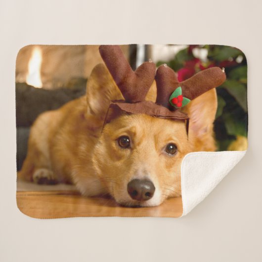最も可愛い赤ん坊の動物 | Corgi Christmas Reindeer シェルパブランケット (正面(横))