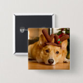 最も可愛い赤ん坊の動物 | Corgi Christmas Reindeer 缶バッジ (正面&裏面)
