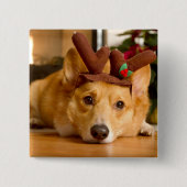最も可愛い赤ん坊の動物 | Corgi Christmas Reindeer 缶バッジ (正面)
