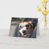 最も可愛い赤ん坊の動物 | Corgi Goggles in the Car カード (黄色い花)