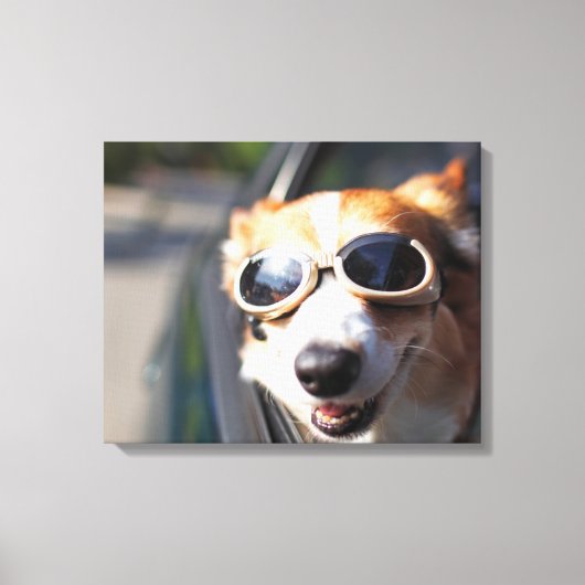 最も可愛い赤ん坊の動物 | Corgi Goggles in the Car キャンバスプリント (正面)