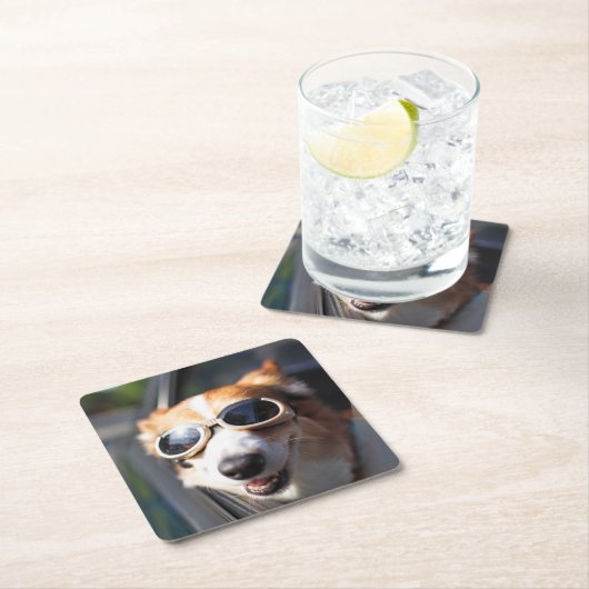 最も可愛い赤ん坊の動物 | Corgi Goggles in the Car スクエアペーパーコースター (インサイチュ)