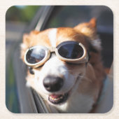 最も可愛い赤ん坊の動物 | Corgi Goggles in the Car スクエアペーパーコースター (正面)