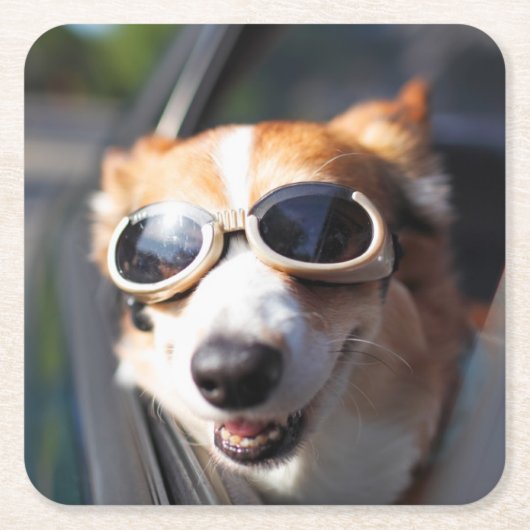 最も可愛い赤ん坊の動物 | Corgi Goggles in the Car スクエアペーパーコースター (正面)